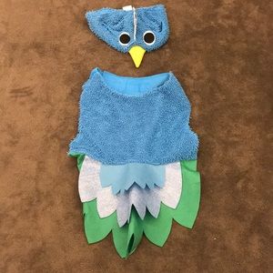 Large dog -Peacock costume